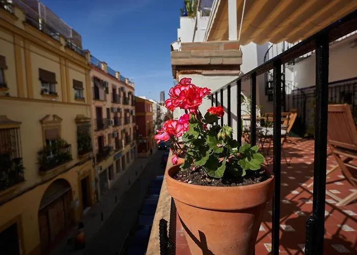 Hotel Casa Pureza Sevilla